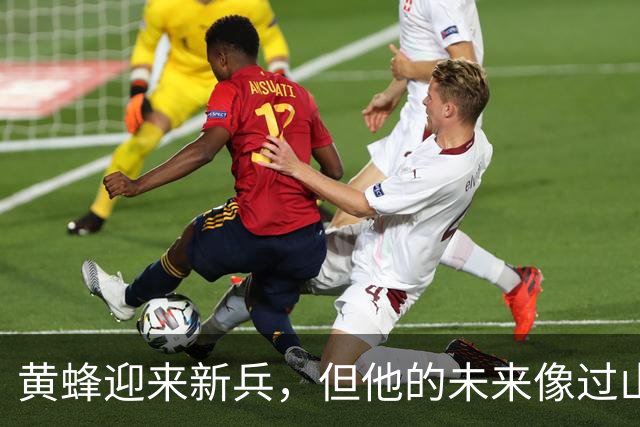 黄蜂迎来新兵，但他的未来像过山车一样曲折